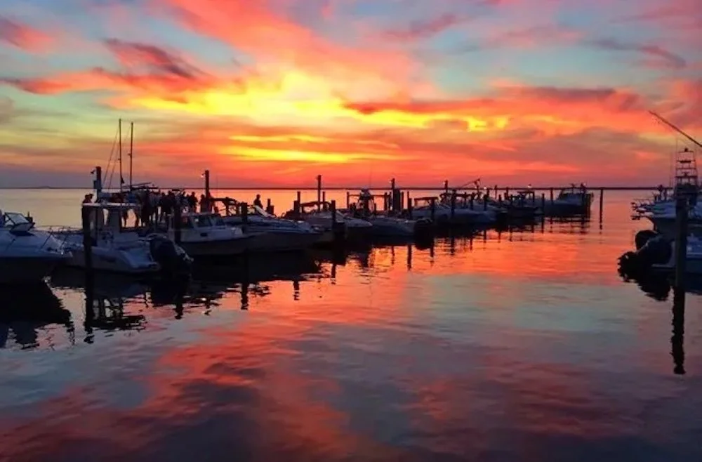 Gallery — Fire Island Association